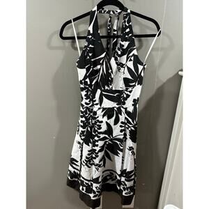 size 4 White House Black Market black white and brown dress